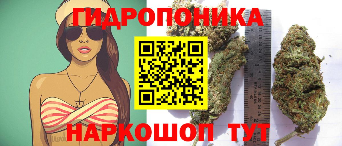 Бошки марихуана Amnesia  Марихуана планчик  Бошки марихуана Ganja  Ачинск  Вход с VPN  МАРИХУАНА ГИДРОПОН 